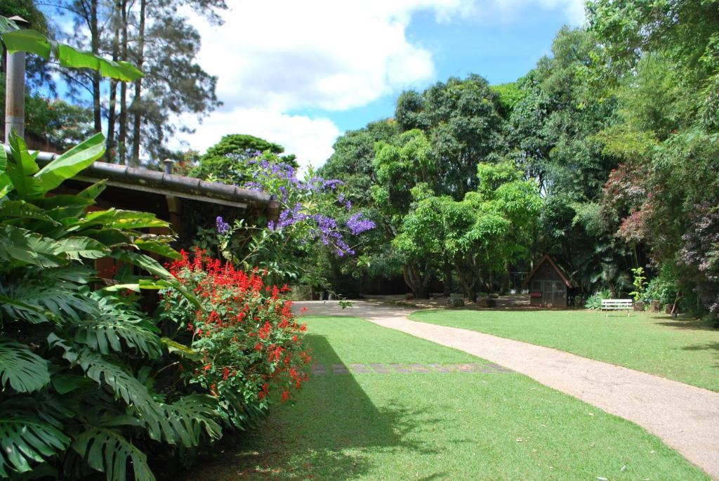 Pousada Albergo Del Leone Petropolis  Exterior photo